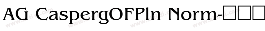AG CaspergOFPln Norm字体转换